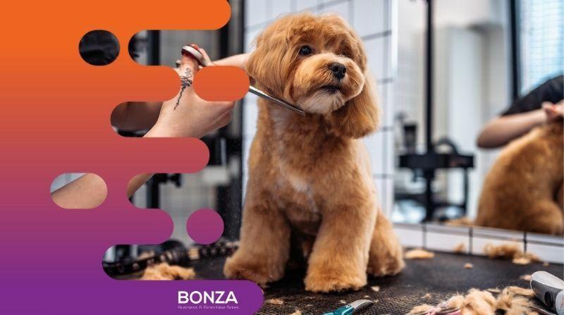 35061 Thriving Dog Grooming Business in Prime Location 35061 Thriving Dog Grooming Business in Prime Location