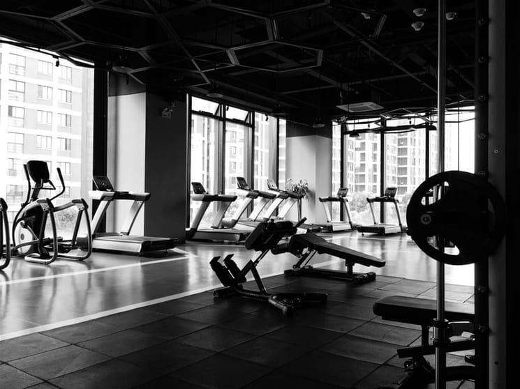 Established Gym for Sale - Waverley Area Established Gym for Sale - Waverley Area