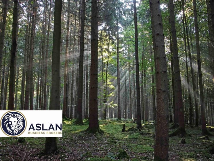 Land For Sale In New Zealand Land For Sale In New Zealand