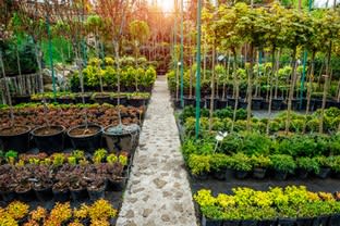 Profitable Regional Nursery | Semi-Passive Operation | Central Victoria Profitable Regional Nursery | Semi-Passive Operation | Central Victoria