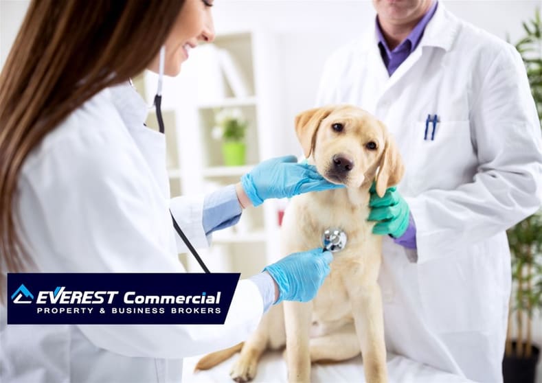 Exceptional  Veterinary Business for Sale  South East Of Victoria