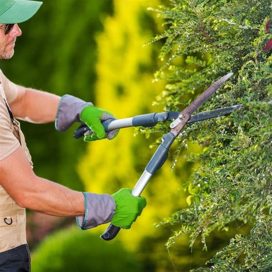 Established Garden Maintenance Business - Recurring Clients