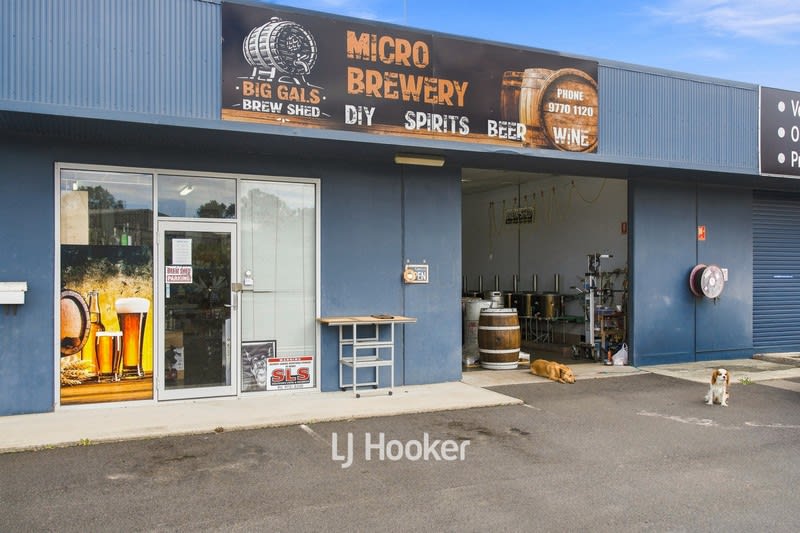 Big Gal's Brew Shed | Turn Your Passion for Brewing into a Business