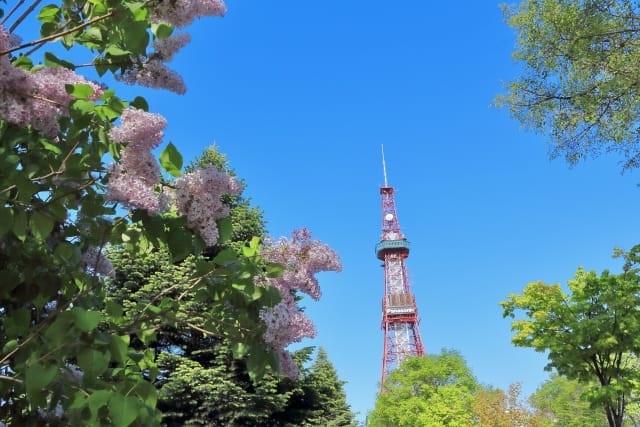 140620252037_image1.jpg