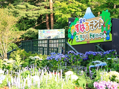 300720251954_image3.png