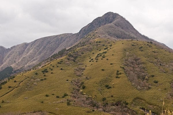 Mt. Kintoki