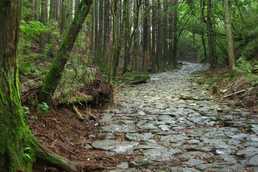 The Hakone Old Tokaido Road