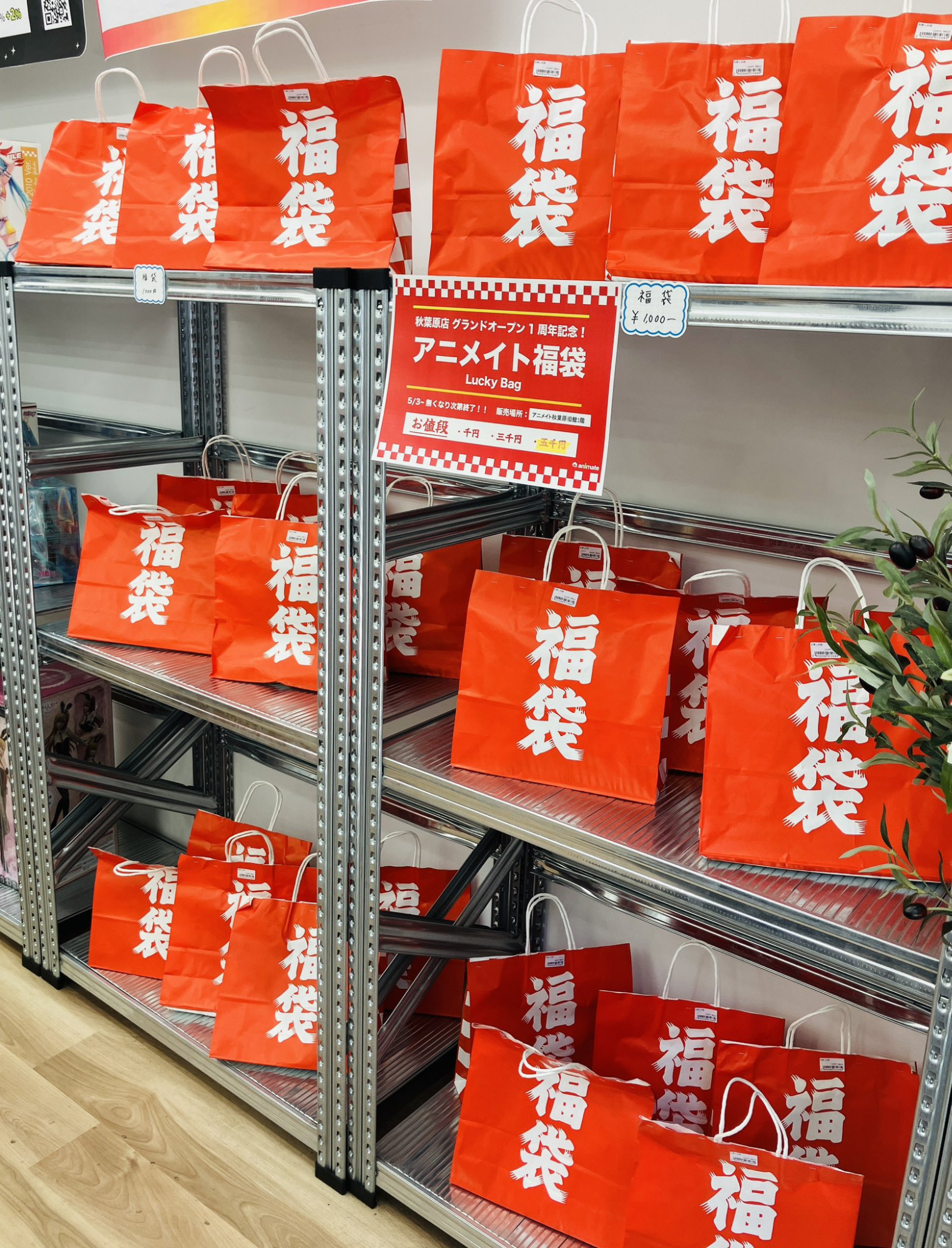 ANIMATE AKIHABARA Fukubukuro Sales