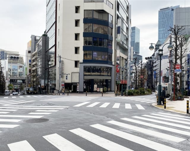 Around Koen-dori Street