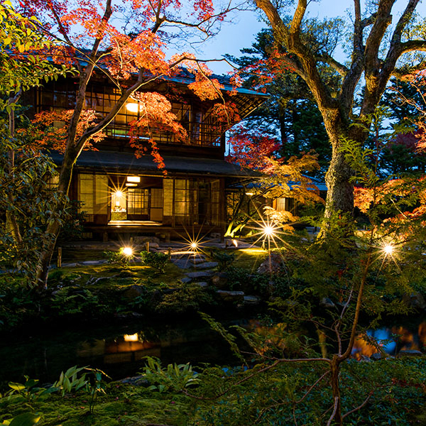 Autumn Foliage Special Evening Illumination
