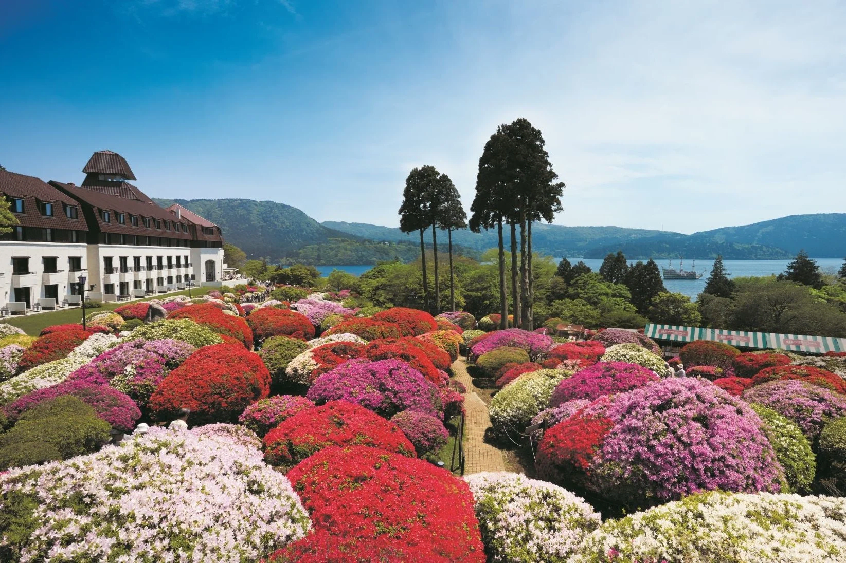 Azalea and Rhododendron Fair