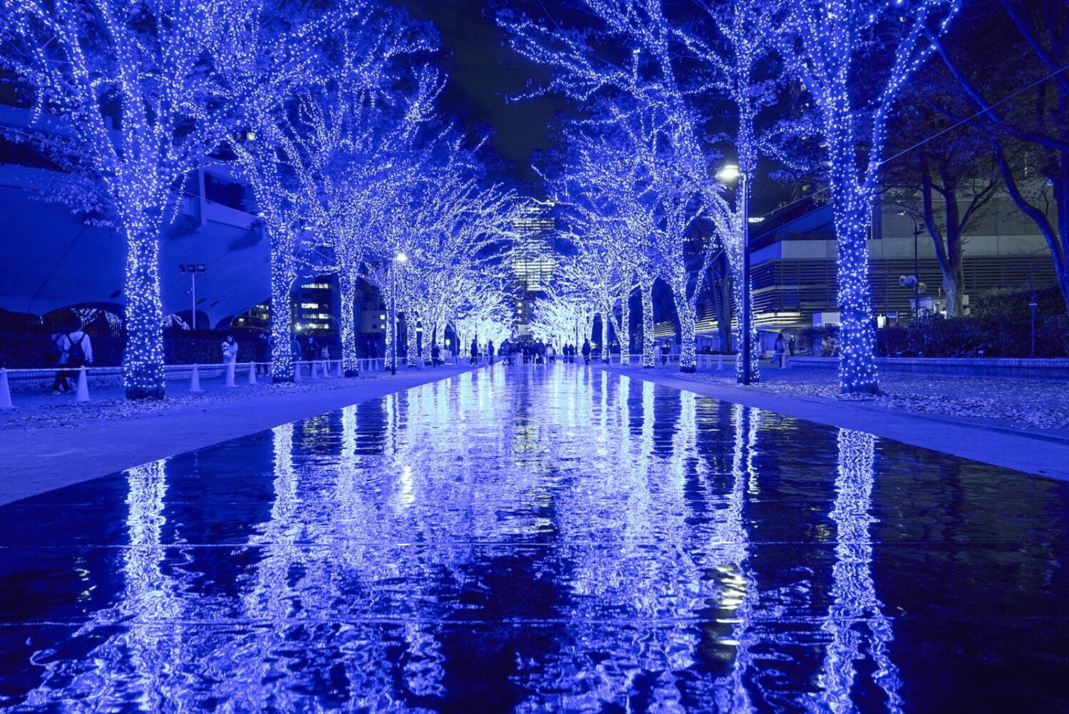 Blue Cave SHIBUYA