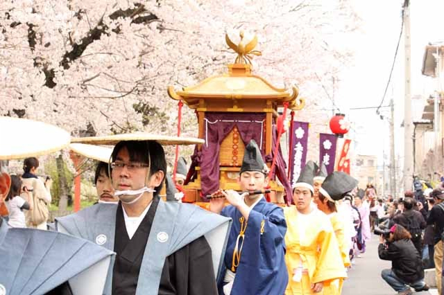 Cherry Blossom Festival