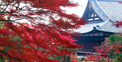 Chōraku-ji Temple Special Autumn Opening