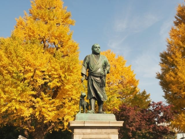 Don't Miss Ueno Park Wrapped in Late November Autumn Foliage!