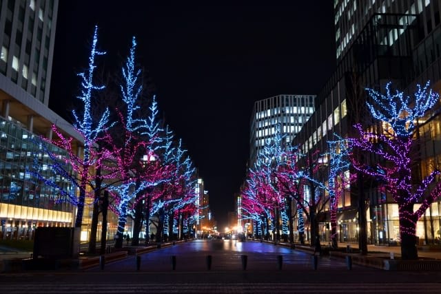 Elegant Illuminations