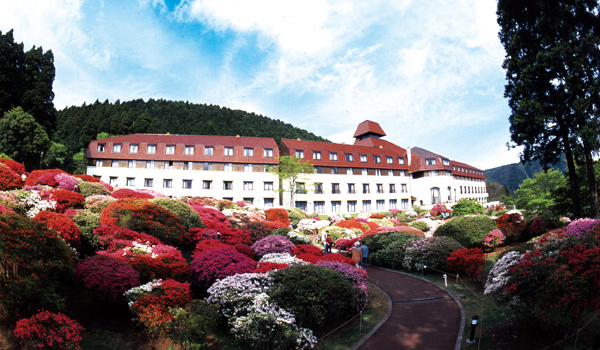 For Extended Nature Enjoyment in Hakone