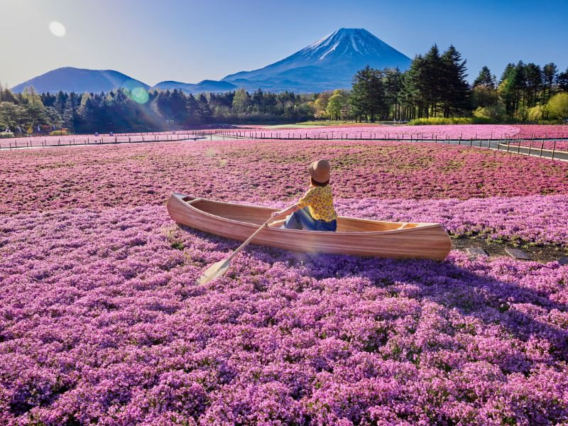 Numerous Photo Spots Perfect for Instagram