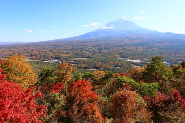 Highlight 2 Koyo-Dai