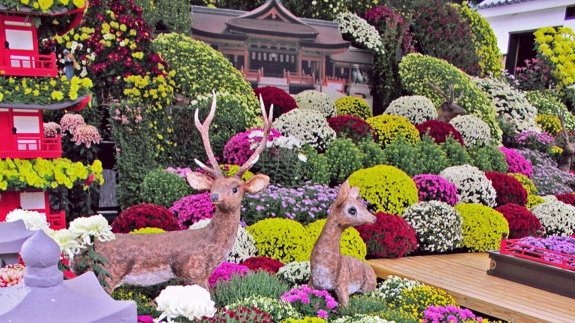 Hiroshima Castle Chrysanthemum Exhibition