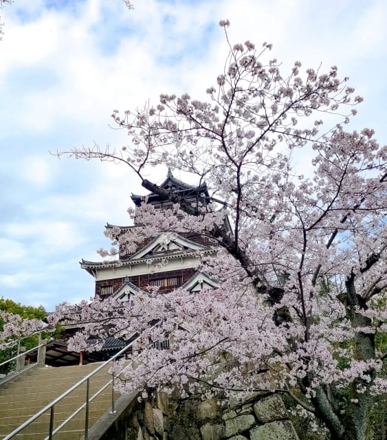 Events to Enjoy in Spring Hiroshima