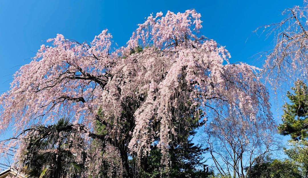 Hongyo-ji Temple