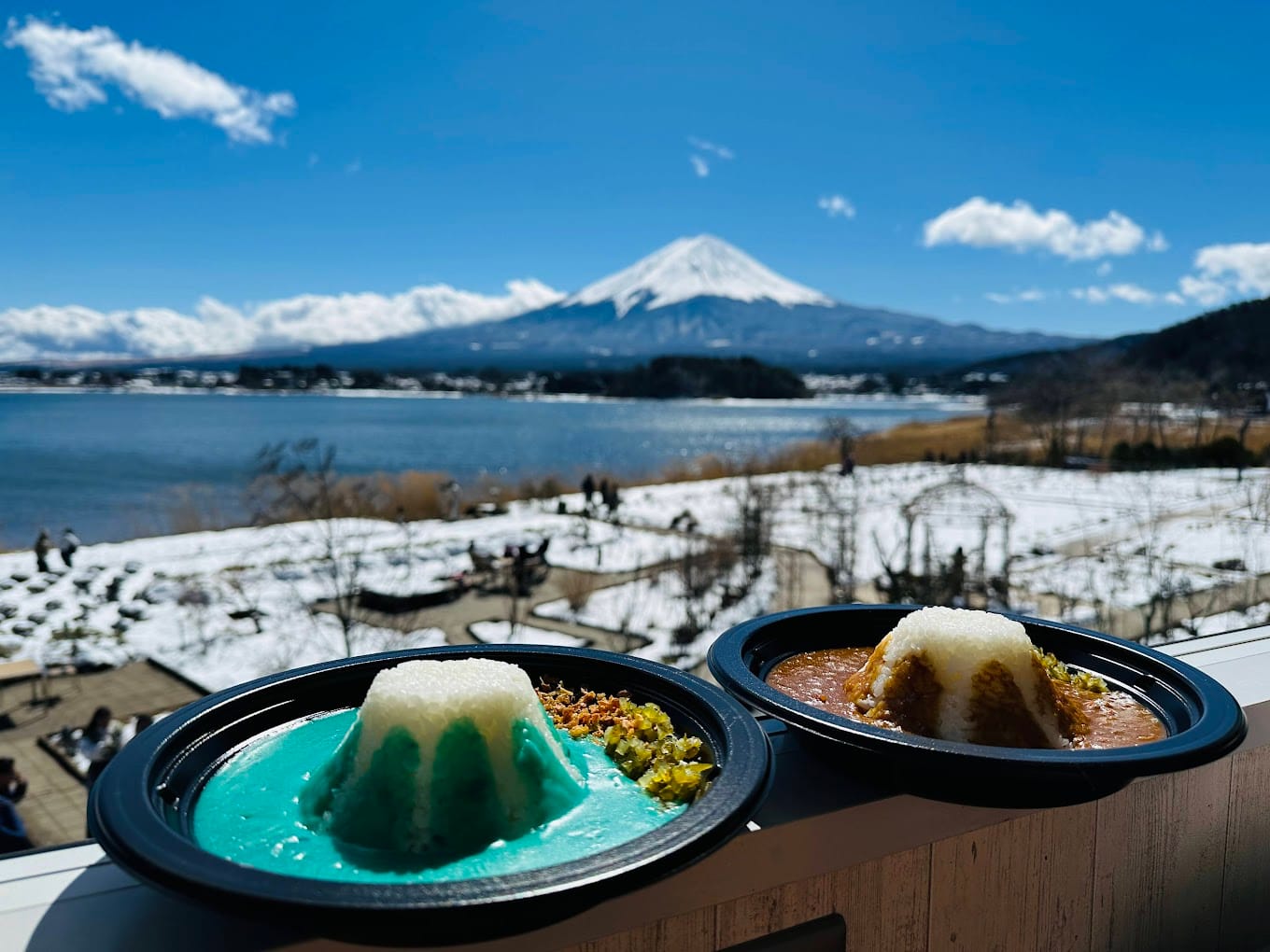 With a View of Mt Fuji