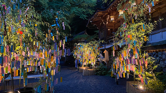Kifune Shrine Tanabata Bamboo Decoration Light-up