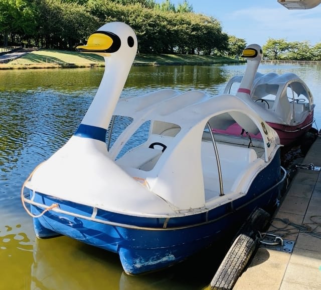 Kojiri Boat Association Rentals