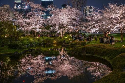 Mori Garden in Spring