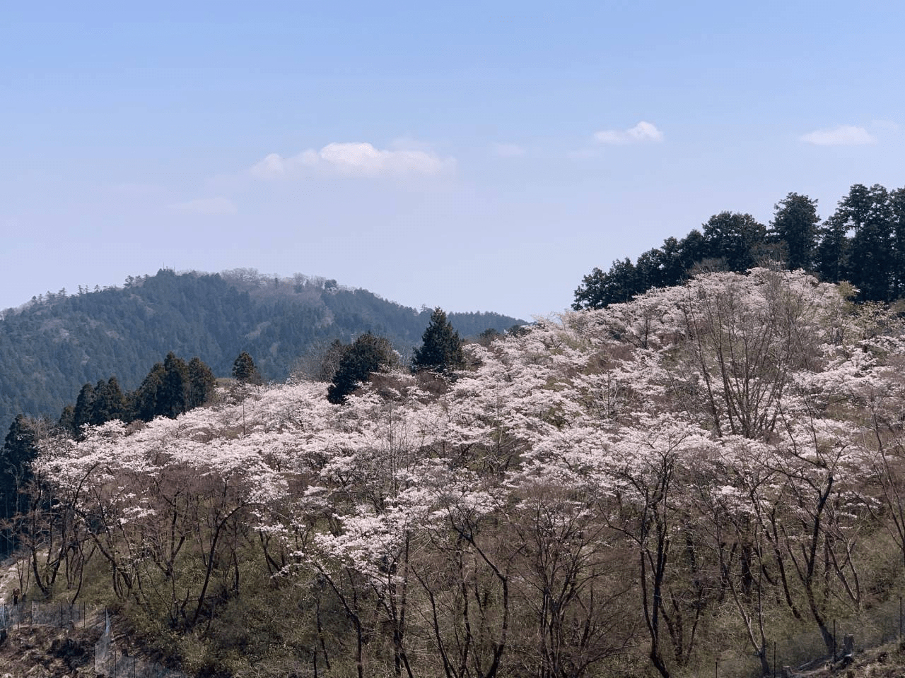 Mount Takao