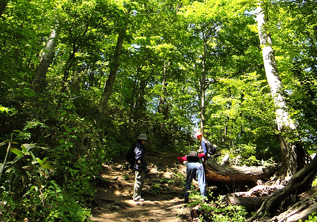Mt. Moiwa