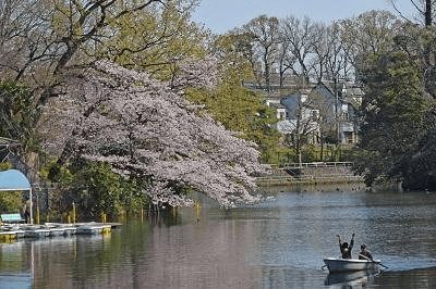 Musashiseki Park