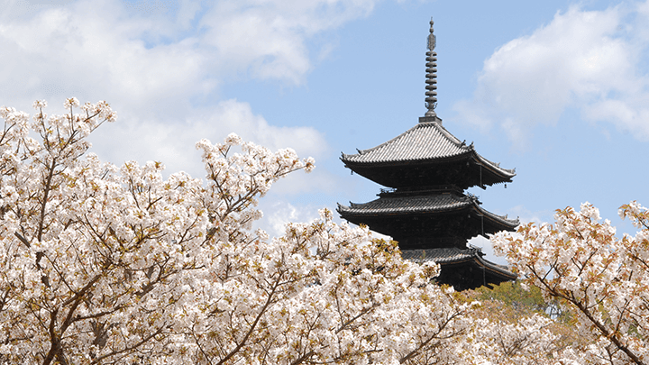 Ninnaji Temple