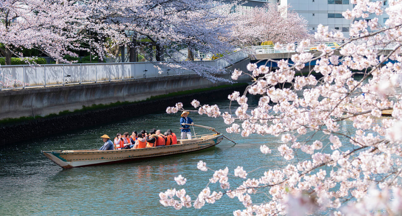 Oedo Fukagawa Sakura Festival