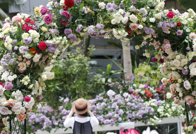 Osaka Rose Festival