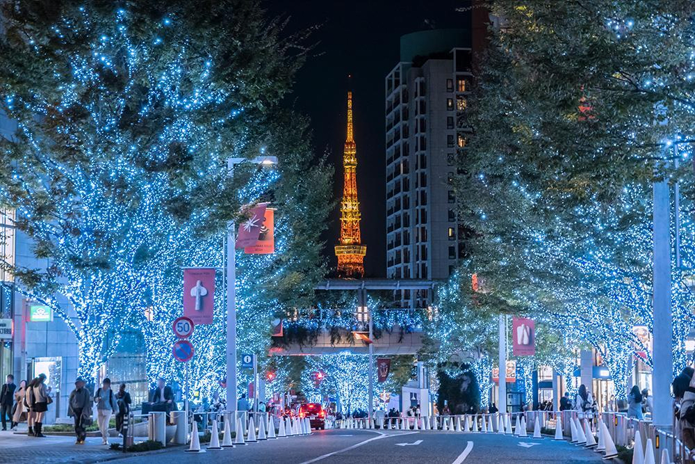 Roppongi Hills Christmas Keyakizaka Illumination