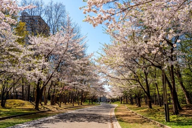 Nakajima Park