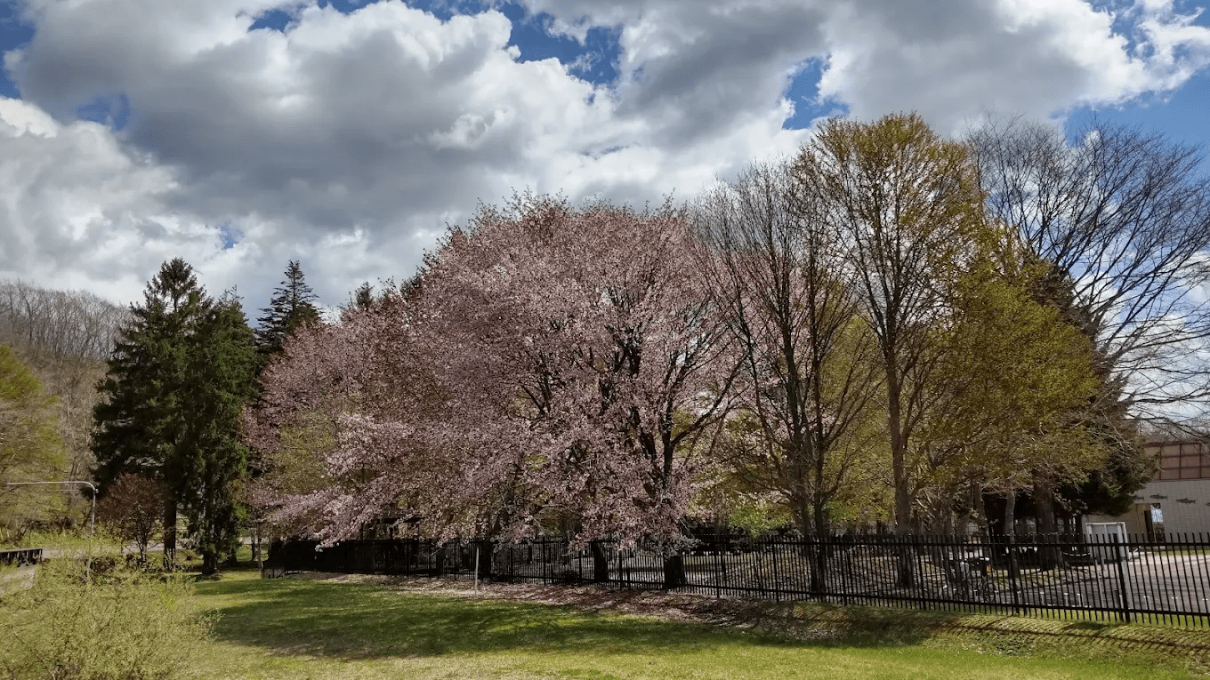 Meisui Community Park