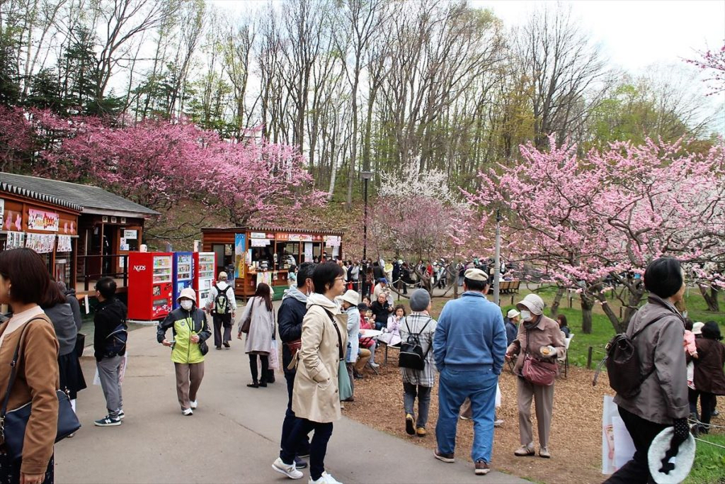 Hiraoka Plum Blossom Festival