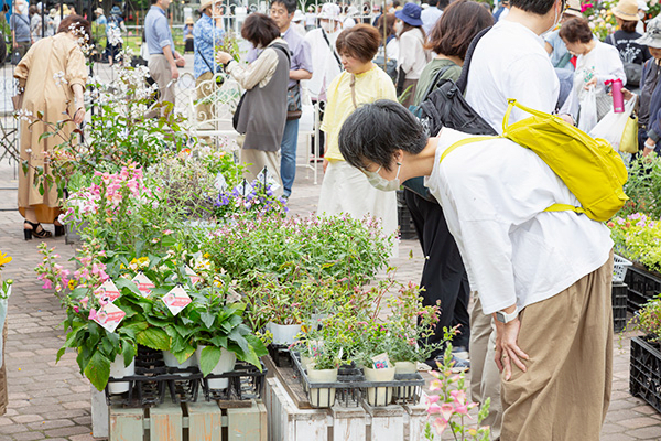 Hana Festa Sapporo