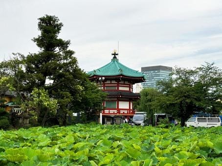 Shinobazu Pond