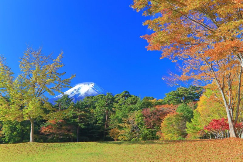 Suwa no Mori Nature Park