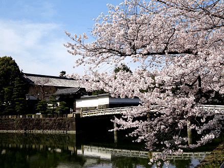 The Imperial Palace Outer Gardens