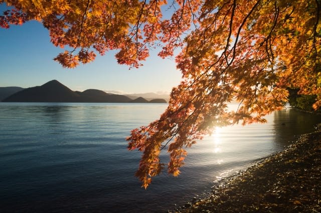 Spring & Autumn: Beautiful Cherry Blossoms and Autumn Leaves Collaboration with Toyako Lake