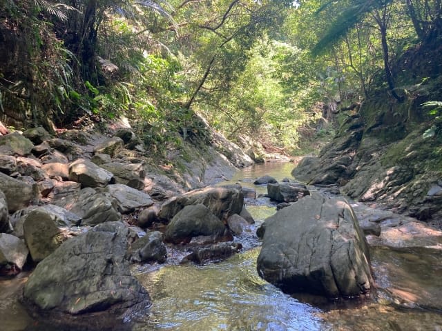 Trekking