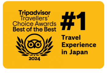 Tripadvisor Best of Best Tour 2024
