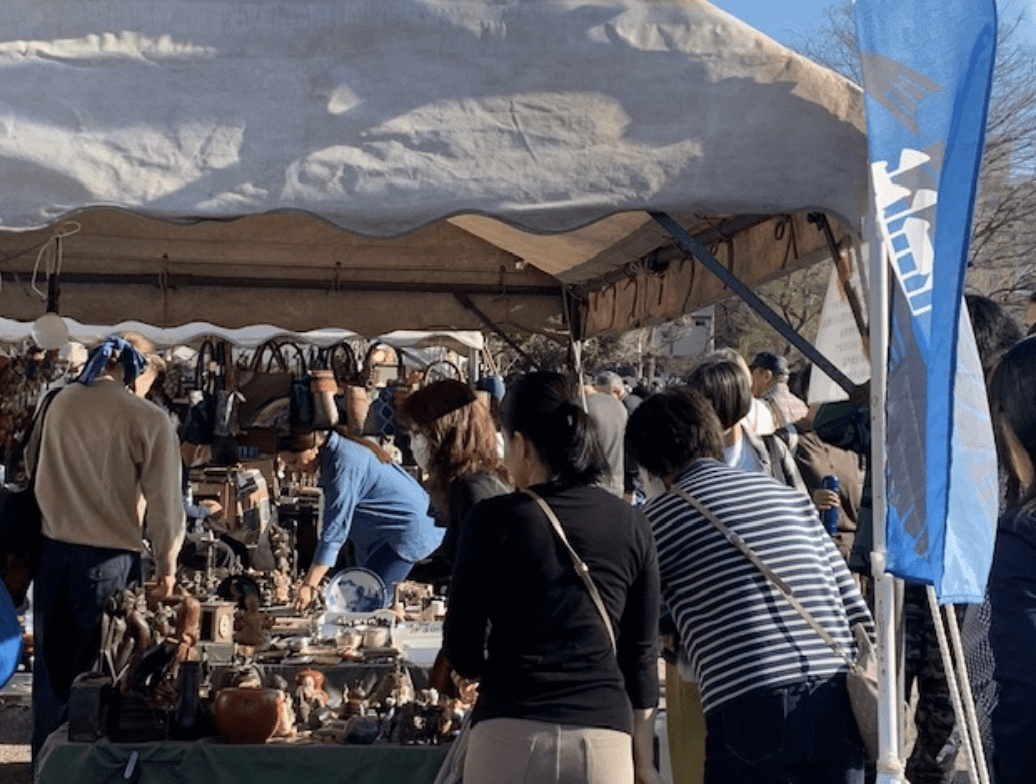 Hunt for Souvenir Items at the Antique Market and Plant Market