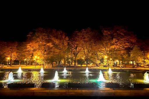 Ueno Park in Fall