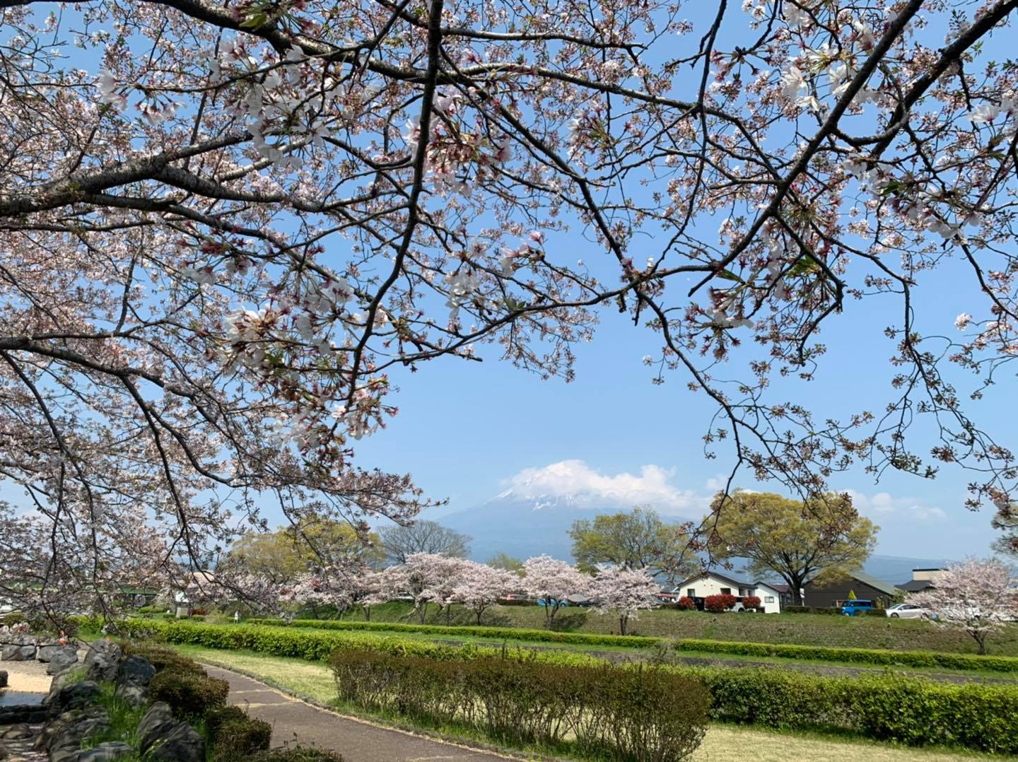 Urui River Riverbank